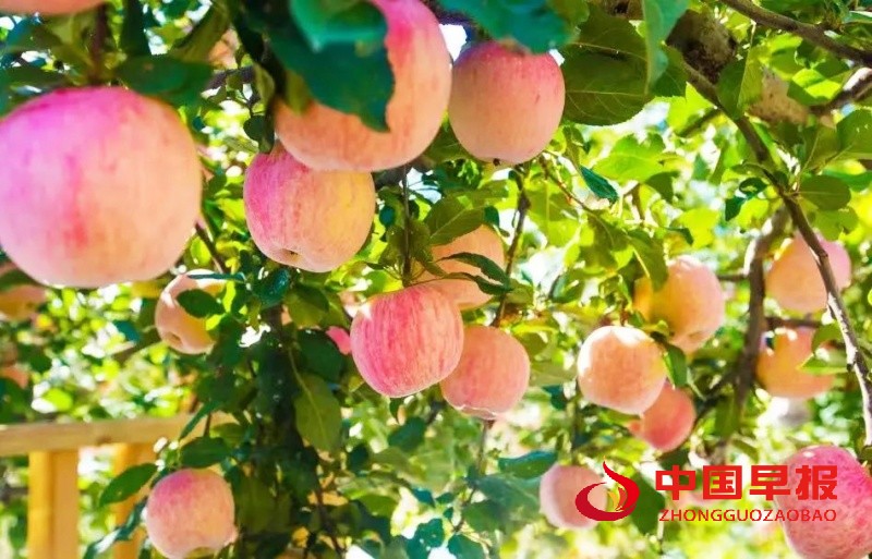 1734447665232143.jpg 640 (3)_副本.jpg