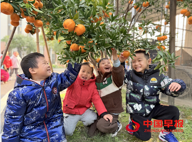 1734604634105259.png 1.png