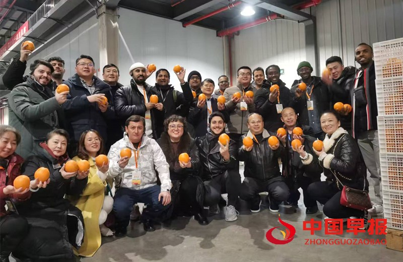 1735094548250926.jpg 微信图片_20241225095206_副本.jpg