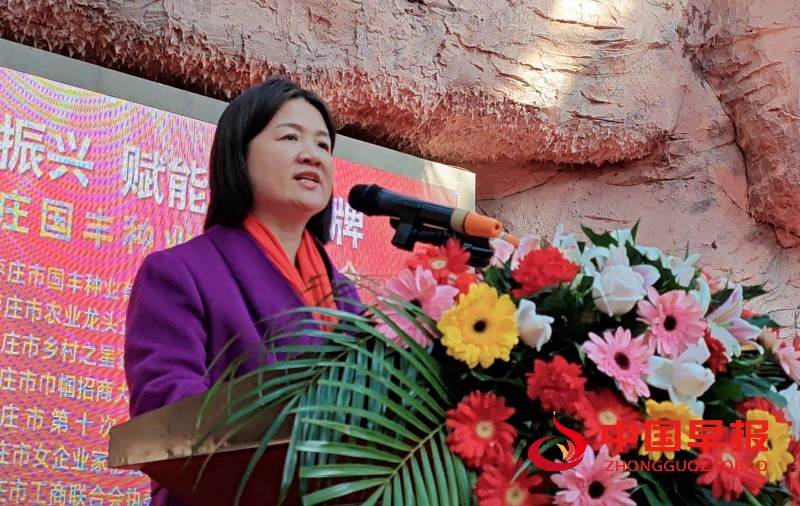 1735903785655996.jpg 2_副本.jpg