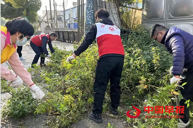 1736330744590051.png 3.png