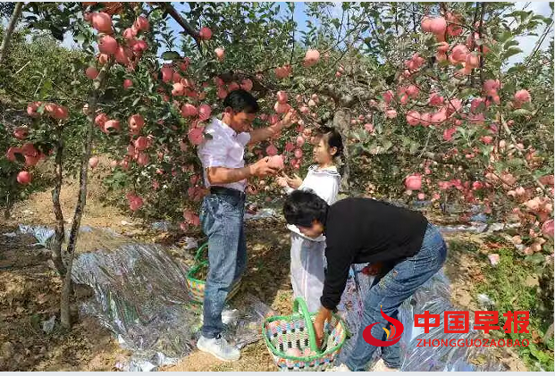 1737261712142779.png 1.png