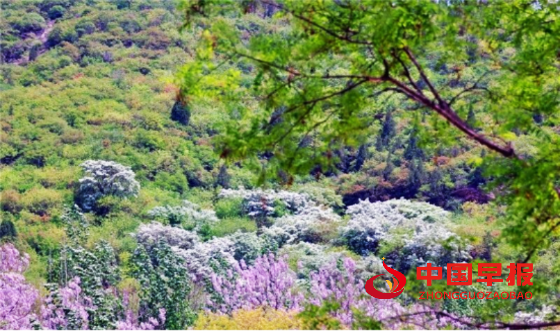 1737298026196724.png 640_副本.png