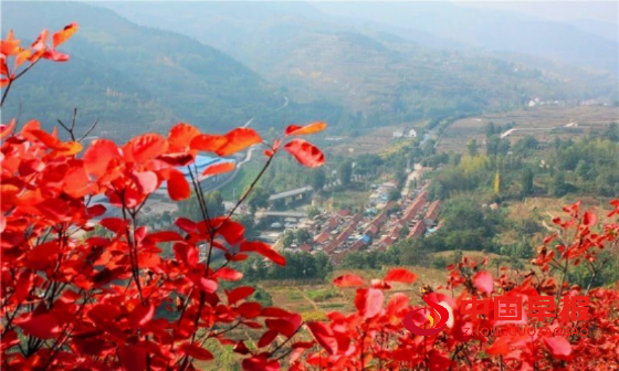 1737298070205195.png 640 (2)_副本.png