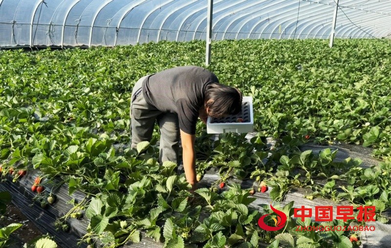 1737381443109215.jpg 1_副本.jpg