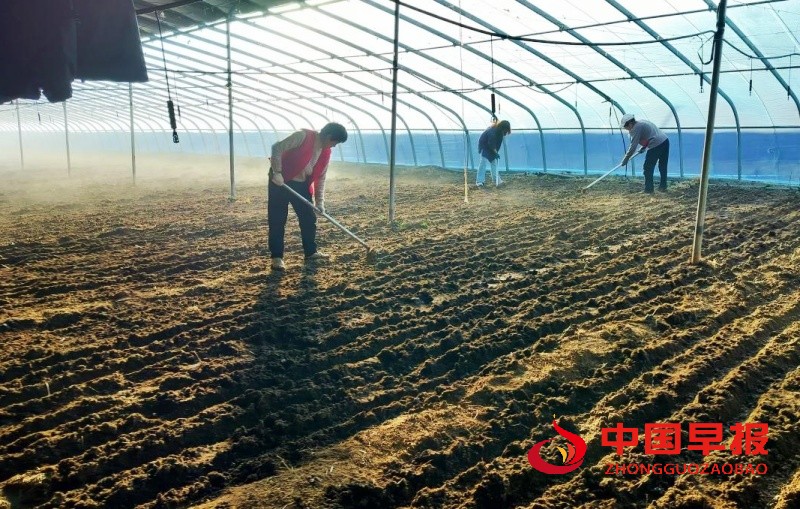 1737381465205298.jpg 3_副本.jpg