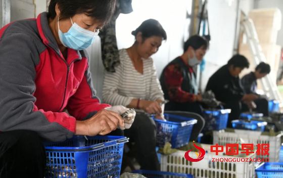 1737381500199906.png 5_副本.png