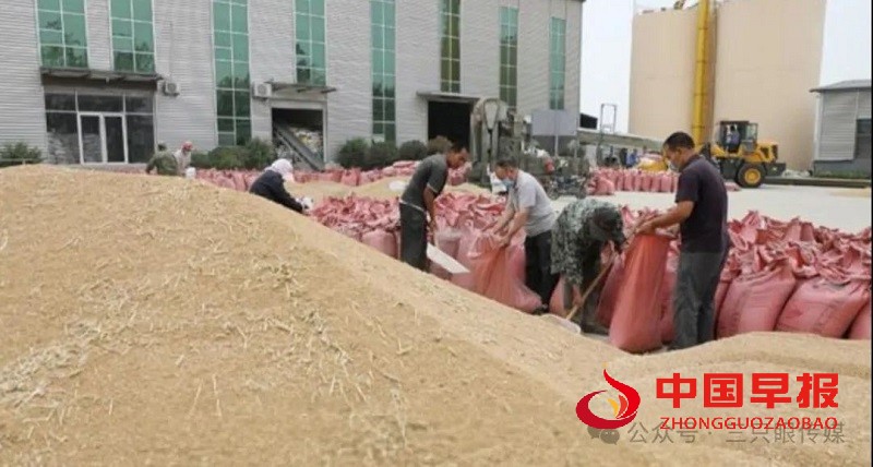 1739883723210722.jpg 640 (3).jpg