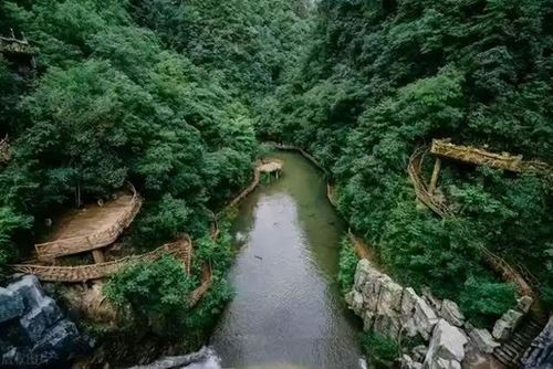 163740291277445_5.jpeg 163740291277445_5.jpeg