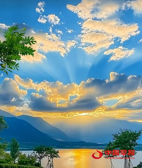 1741583238108900.jpg 微信图片_20250310125030.jpg