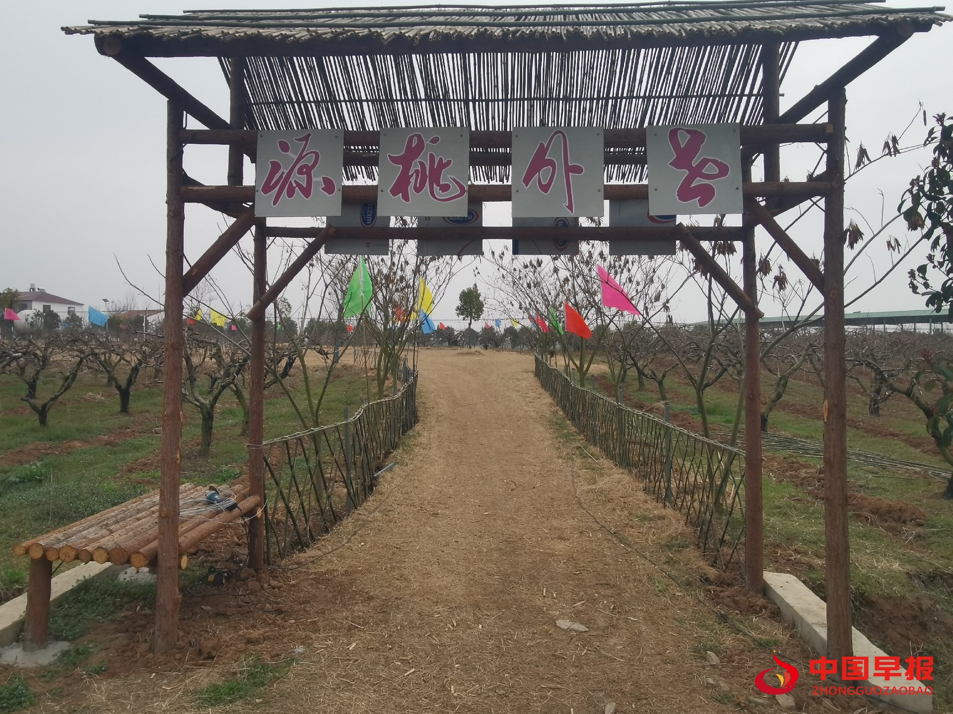 1741763371154446.jpg 1741763371154446.jpg