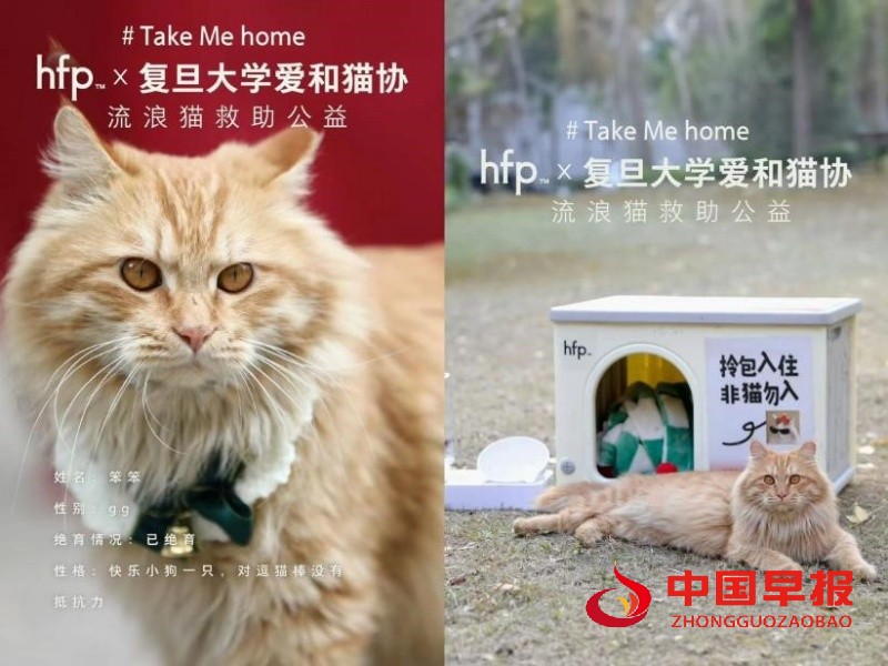 1741788696353142.jpg 9_副本.jpg