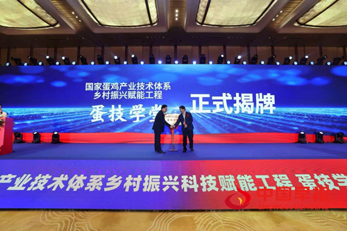 09125500991948911_5.png 09125500991948911_5.png