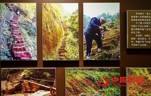 1741948119129394.jpg 1741948119129394.jpg