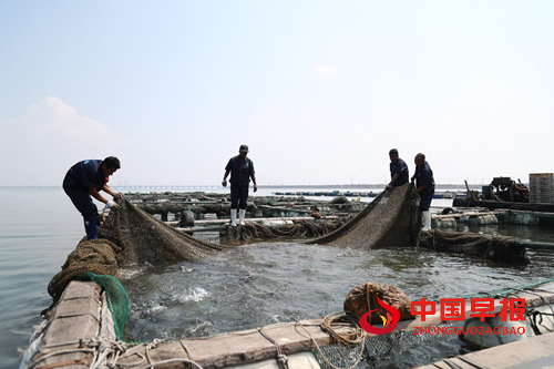 16572774435558540_5.png 16572774435558540_5.png