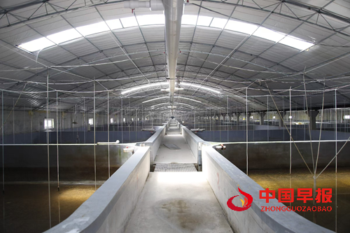 16574749434558092_5.png 16574749434558092_5.png