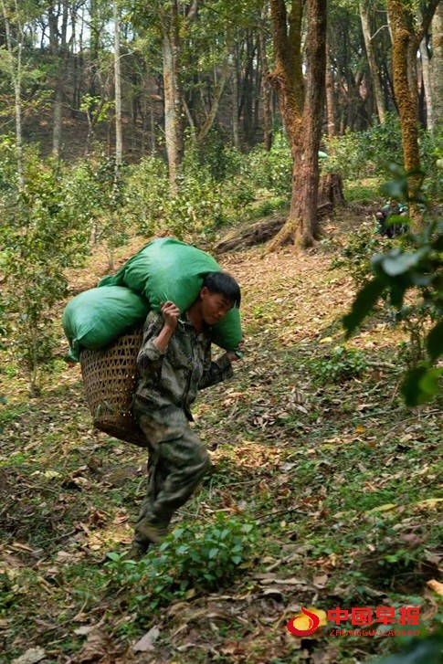 1743585763661282.jpg 1743585763661282.jpg