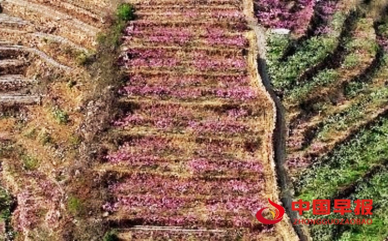 1744289036496649.jpg 1_副本.jpg