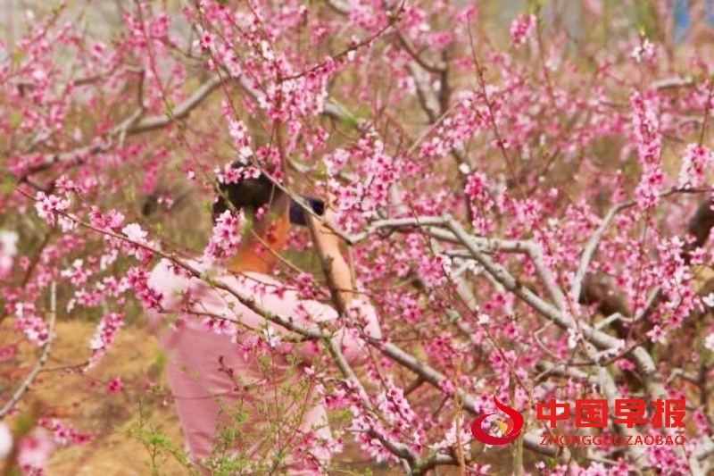 1744289057434283.jpg 2_副本.jpg