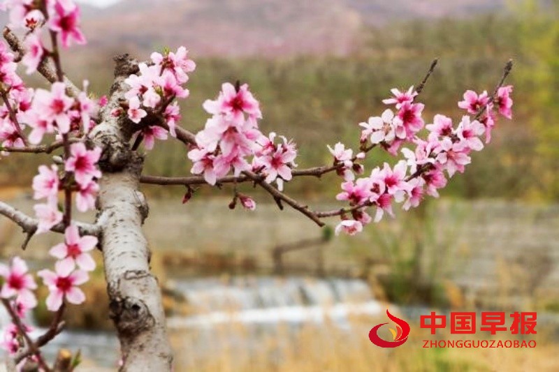 1744289067678870.jpg 3_副本.jpg