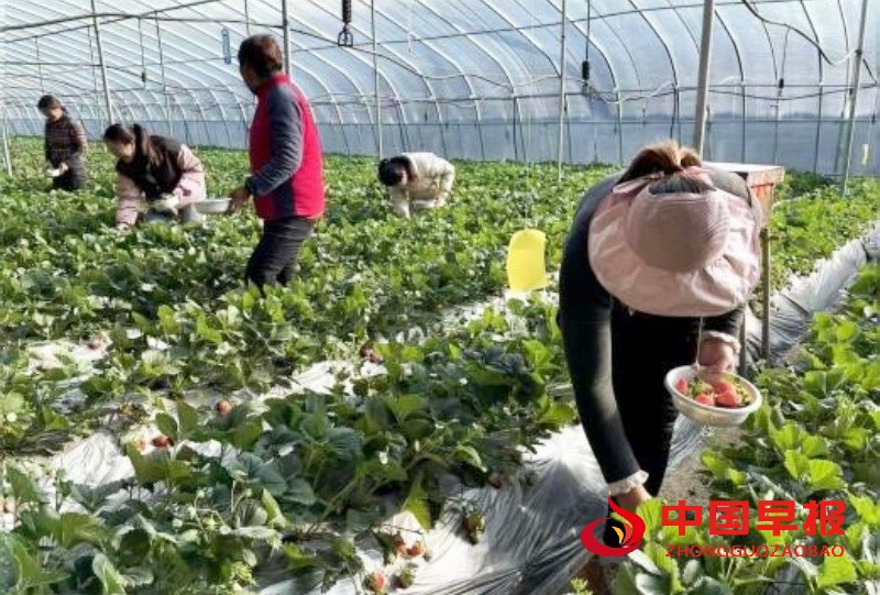 1744289088838873.jpg 4_副本.jpg