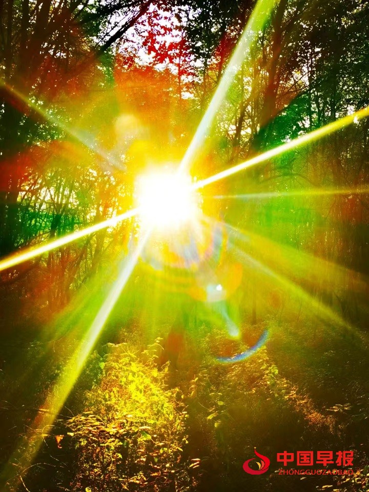 1745822153211382.jpg 1745822153211382.jpg