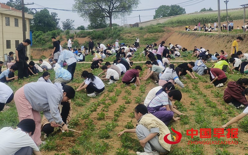 1745922556127873.jpg 9c2c97f7f155332b48879e9c406671a.jpg