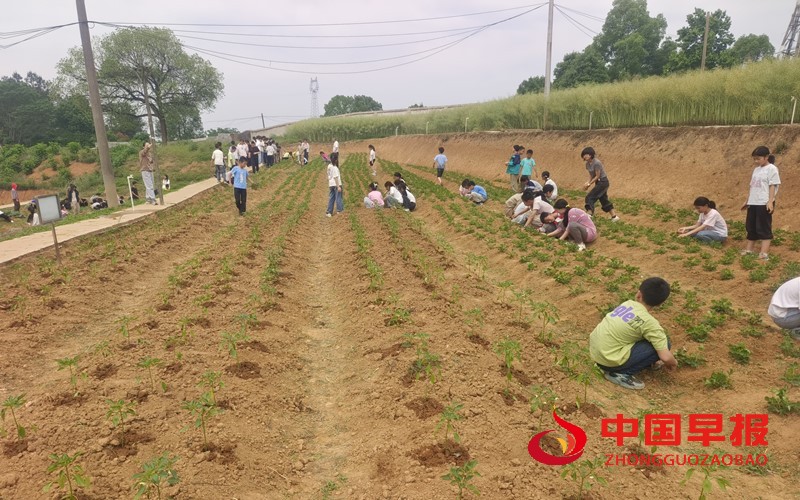 1745922570128954.jpg af803cea1b01f4ddebadaf5ca9b68c7.jpg