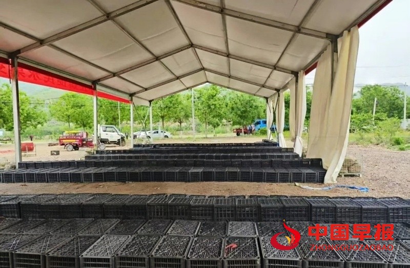 1746724242196614.jpg 640 (5)_副本.jpg