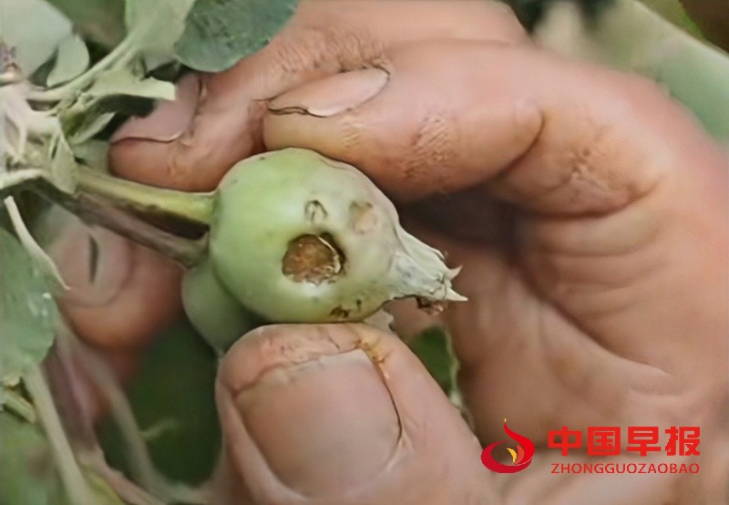 1746852866962406.jpg 微信图片_20250510124719_副本.jpg