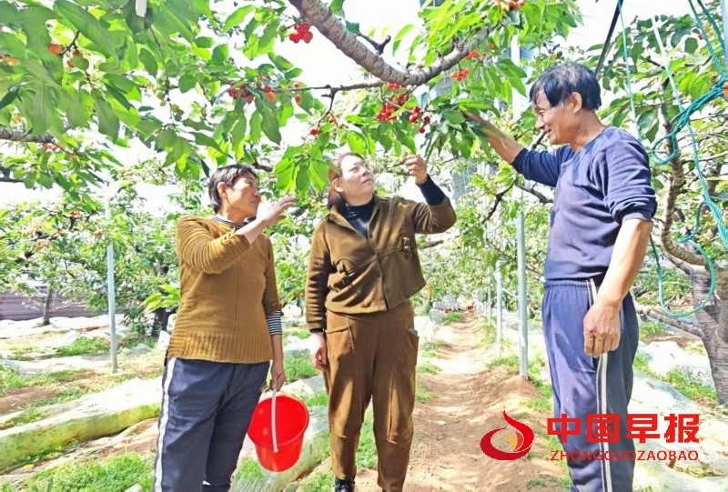 1747023018205330.jpg 微信图片_20250512120616_副本.jpg