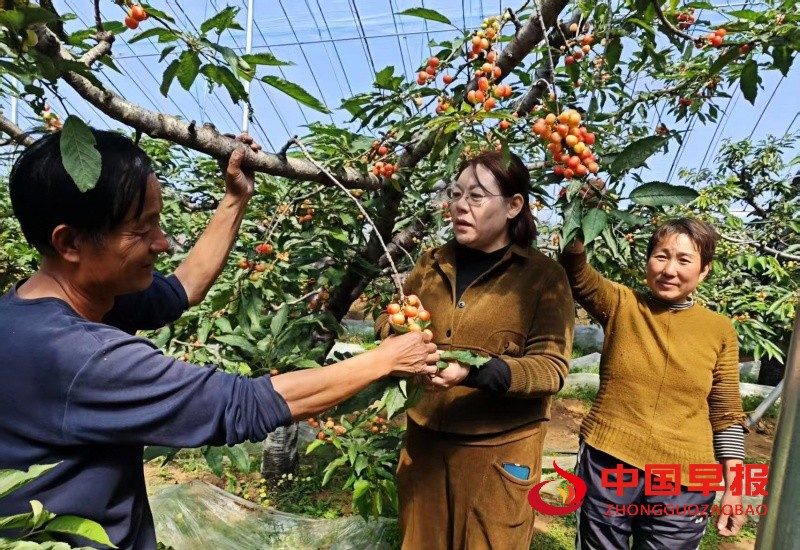 1747023029313909.jpg 微信图片_20250512120620_副本.jpg