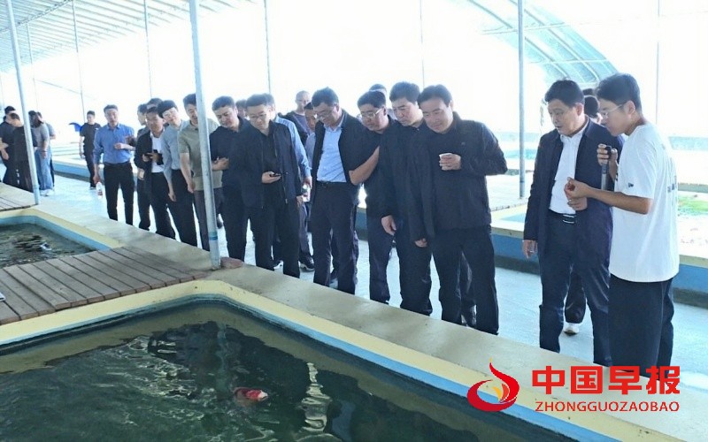 1747065225126156.jpg 微信图片_20250512235213_副本.jpg