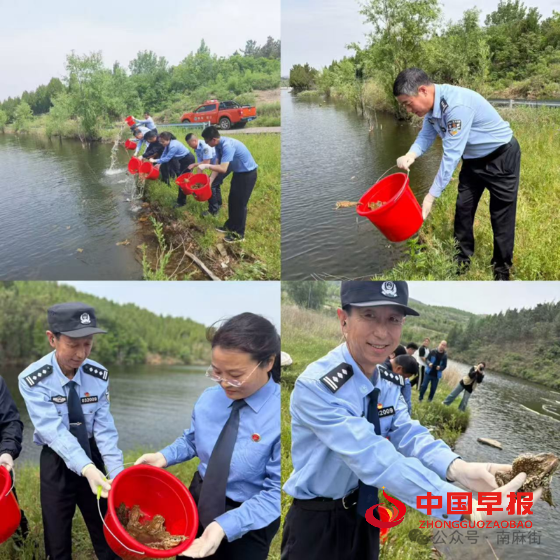 1747273652117742.png 640 (2)_副本.png