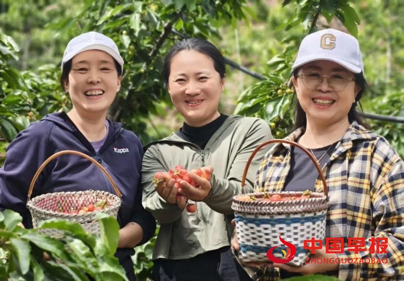 1747411334911849.jpg 640_副本.jpg