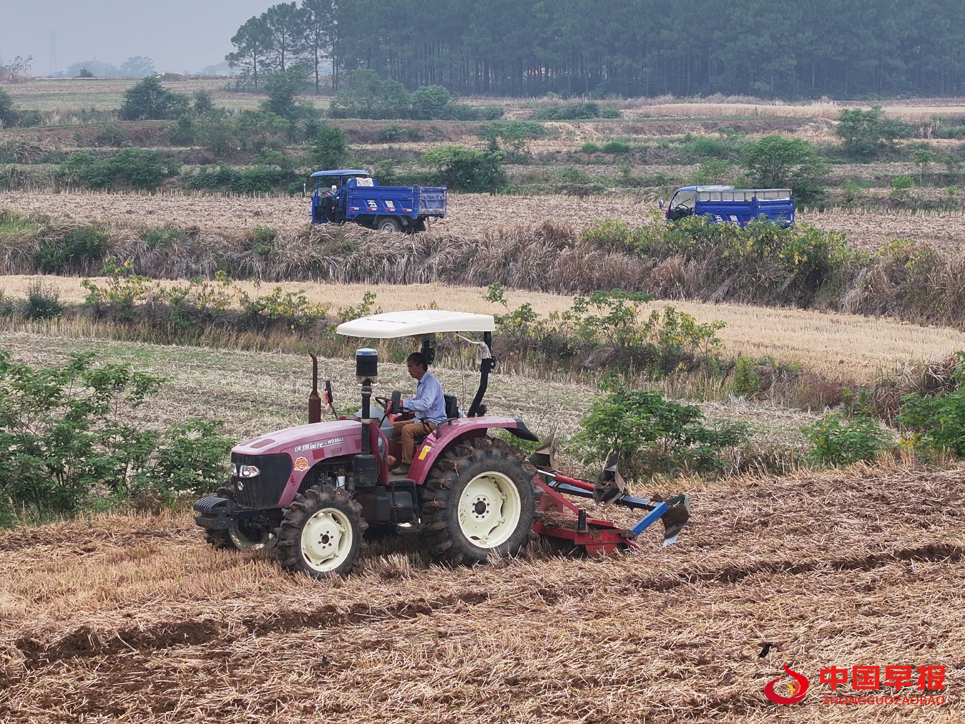 1747694447194706.jpg 1747694447194706.jpg