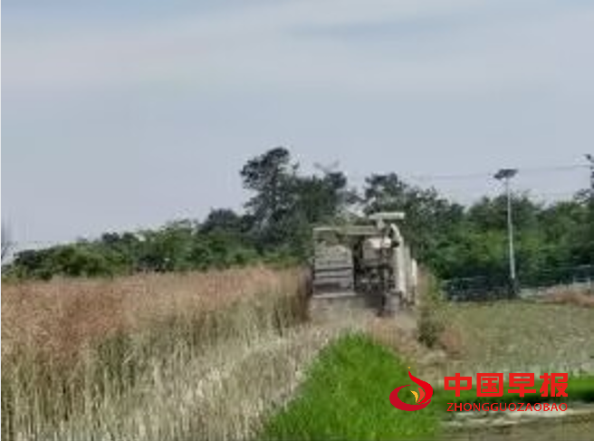 1747887521177821.png 2.png