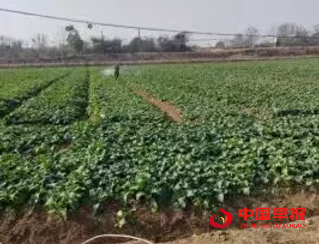 1747887538627505.png 4.png