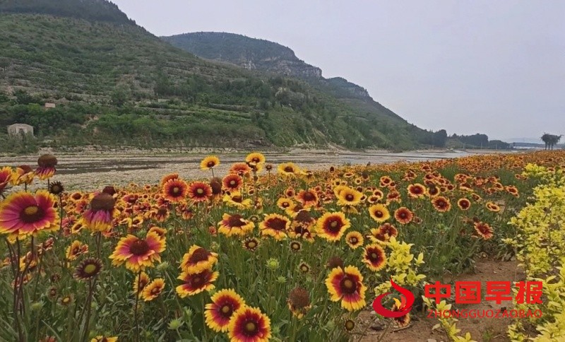 1748192541113970.jpg 640_副本.jpg