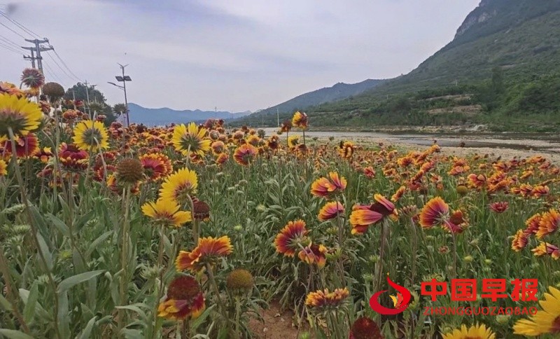 1748192553153870.jpg 微信图片_20250526005521_副本.jpg