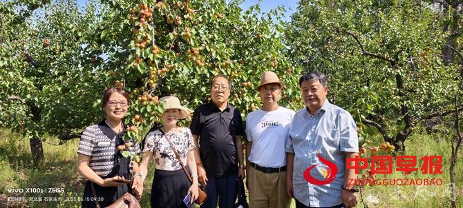 1750070196196164.jpg o_1its1nm7j1nvg44a1t561c0m1a747.jpg