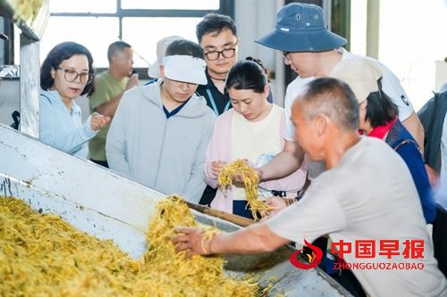 国家中药材产业技术体系太子参单品种攻关工作会议在贵州施秉举办(图4) 国家中药材产业技术体系太子参单品种攻关工作会议在贵州施秉举办(图4)