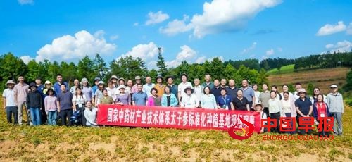 国家中药材产业技术体系太子参单品种攻关工作会议在贵州施秉举办(图5) 国家中药材产业技术体系太子参单品种攻关工作会议在贵州施秉举办(图5)