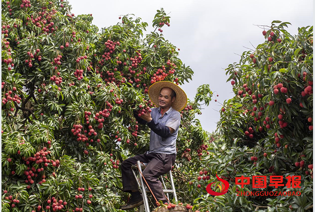 1750987914179118.png 33.png