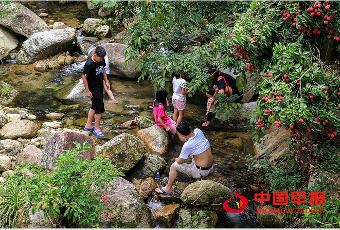 1751158630159231.png 101.png