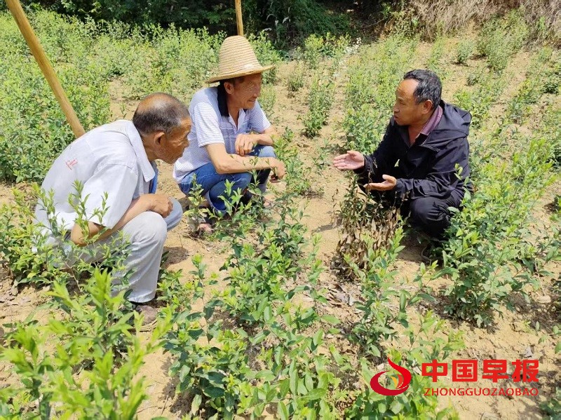 1751331374110364.jpg 图片1.jpg