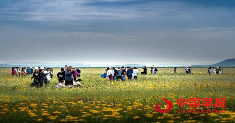 1751604081183454.jpg 2_副本.jpg