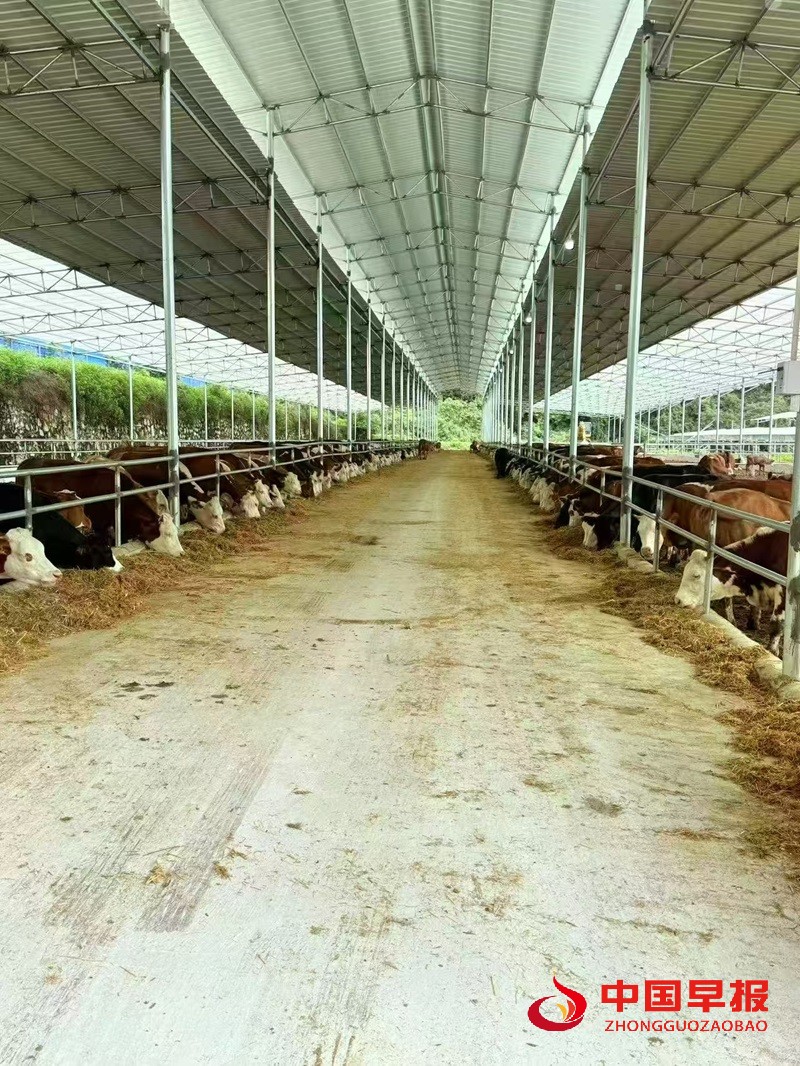 1751879784663556.jpg 微信图片_20250707170231.jpg