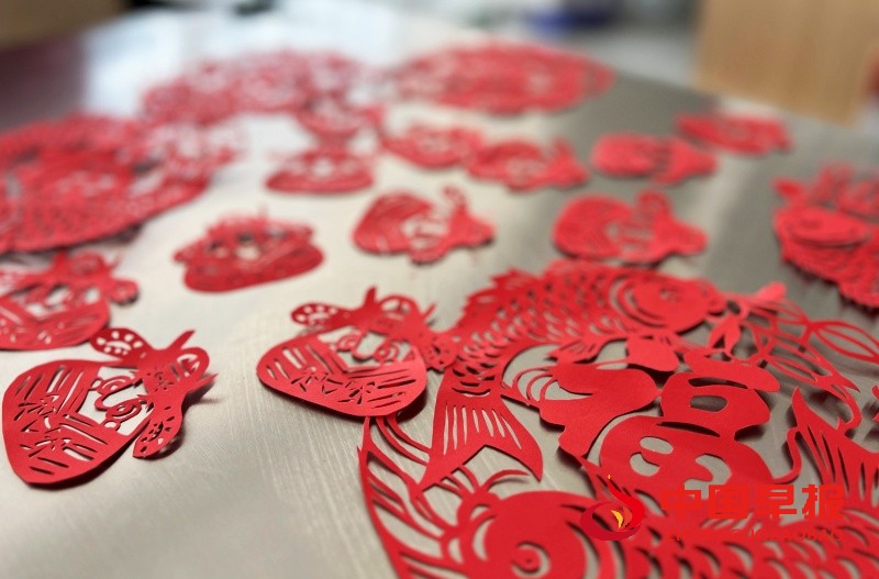 1755594043838499.jpg 5_副本.jpg