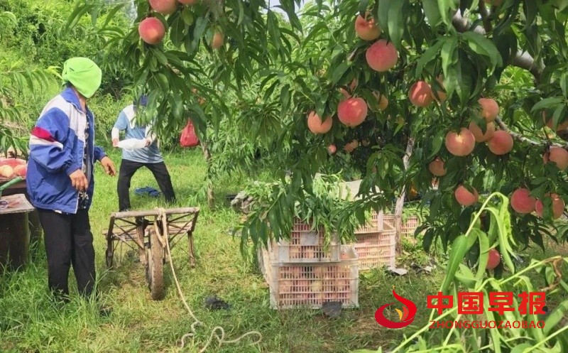 640 (1)_副本_副本.jpg